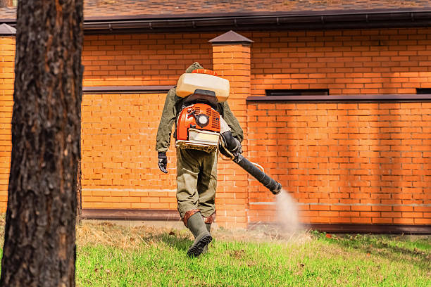 Bed Bug Clearance Verification and Documentation in Koloa